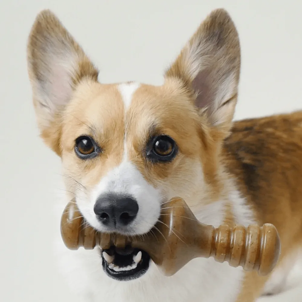 Benebone Chicken Flavored Zaggler Chew Toy  for Dogs