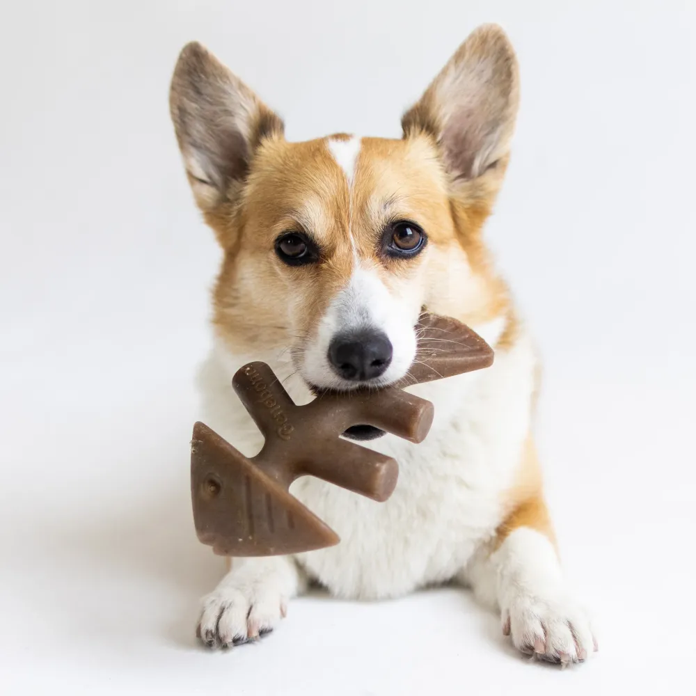 Benebone Jack Salmon Flavored Fishbone Chew Toy for Dogs