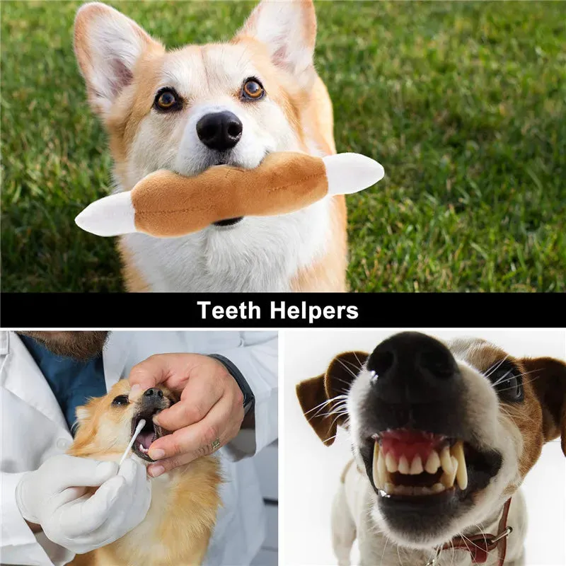 Deluxe Fleece Squeaky Toy Collection for Small to Medium Dogs