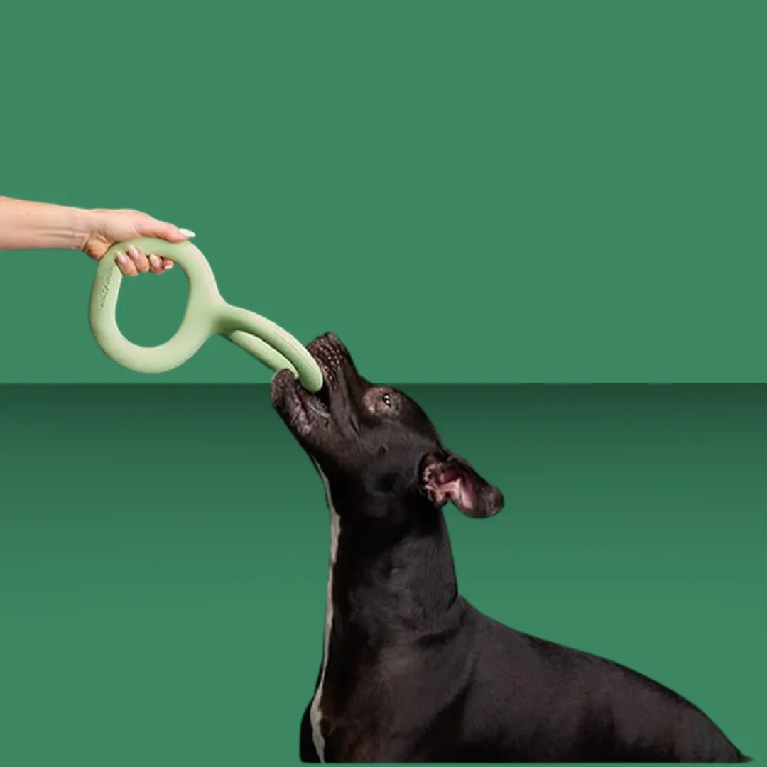 Earth Rated Tug Toy L