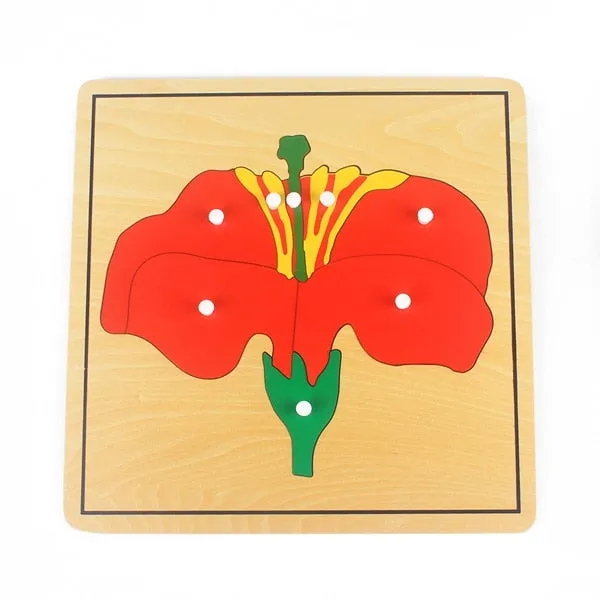 Engaging Montessori Wooden Puzzle: Discover Plants & Animals for Kids