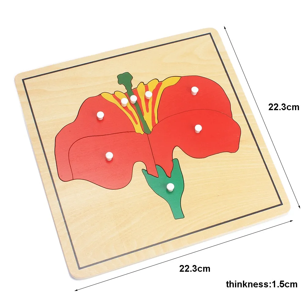 Engaging Montessori Wooden Puzzle: Discover Plants & Animals for Kids