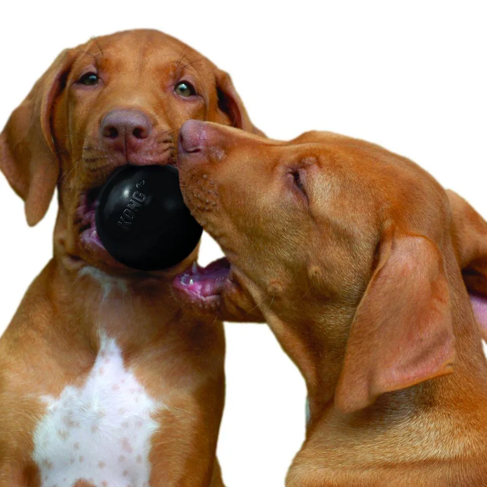 KONG Extreme Ball Dog Toy (Medium/Large: 30-65 lbs)