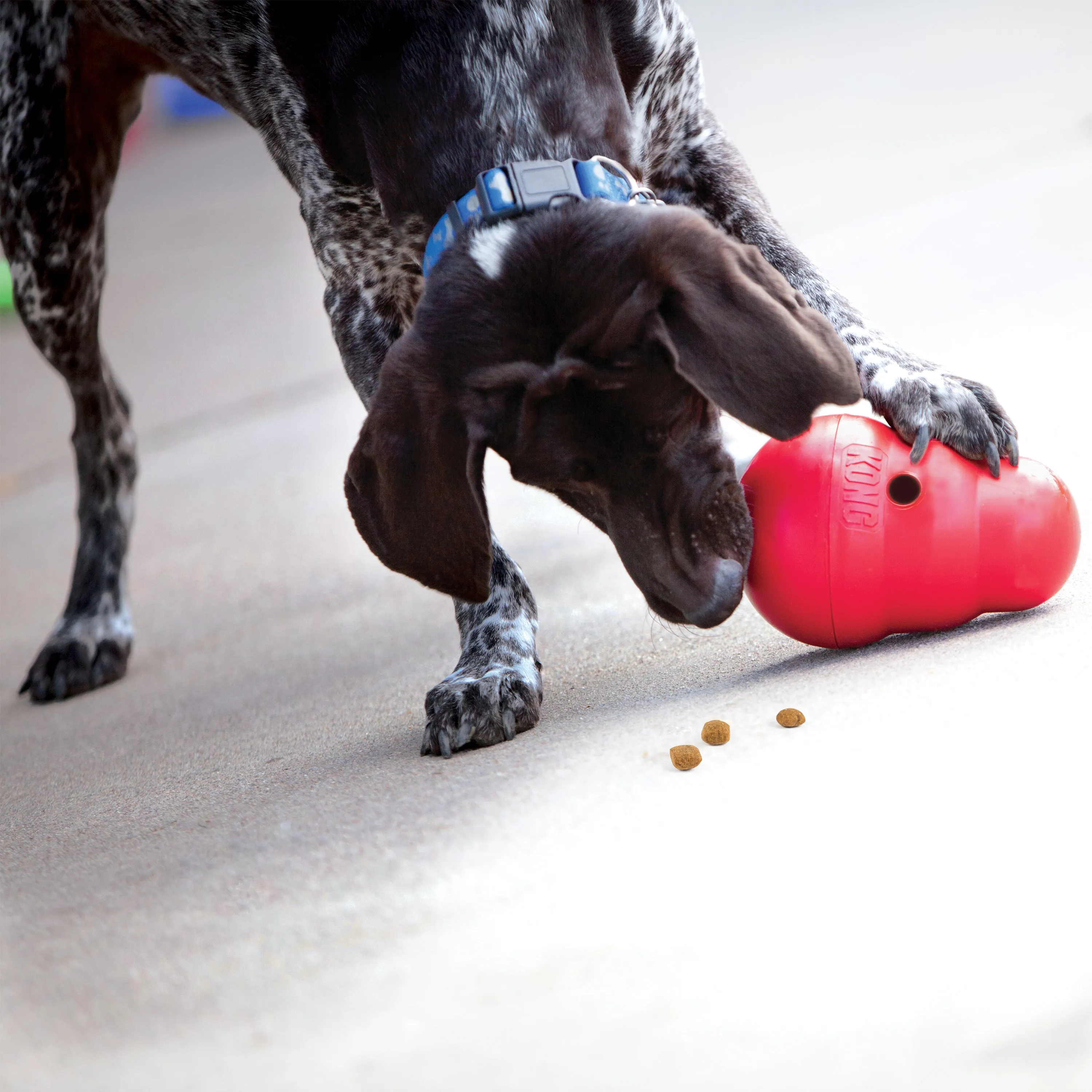 Kong - Wobbler Treat Dispensing Dog Toy