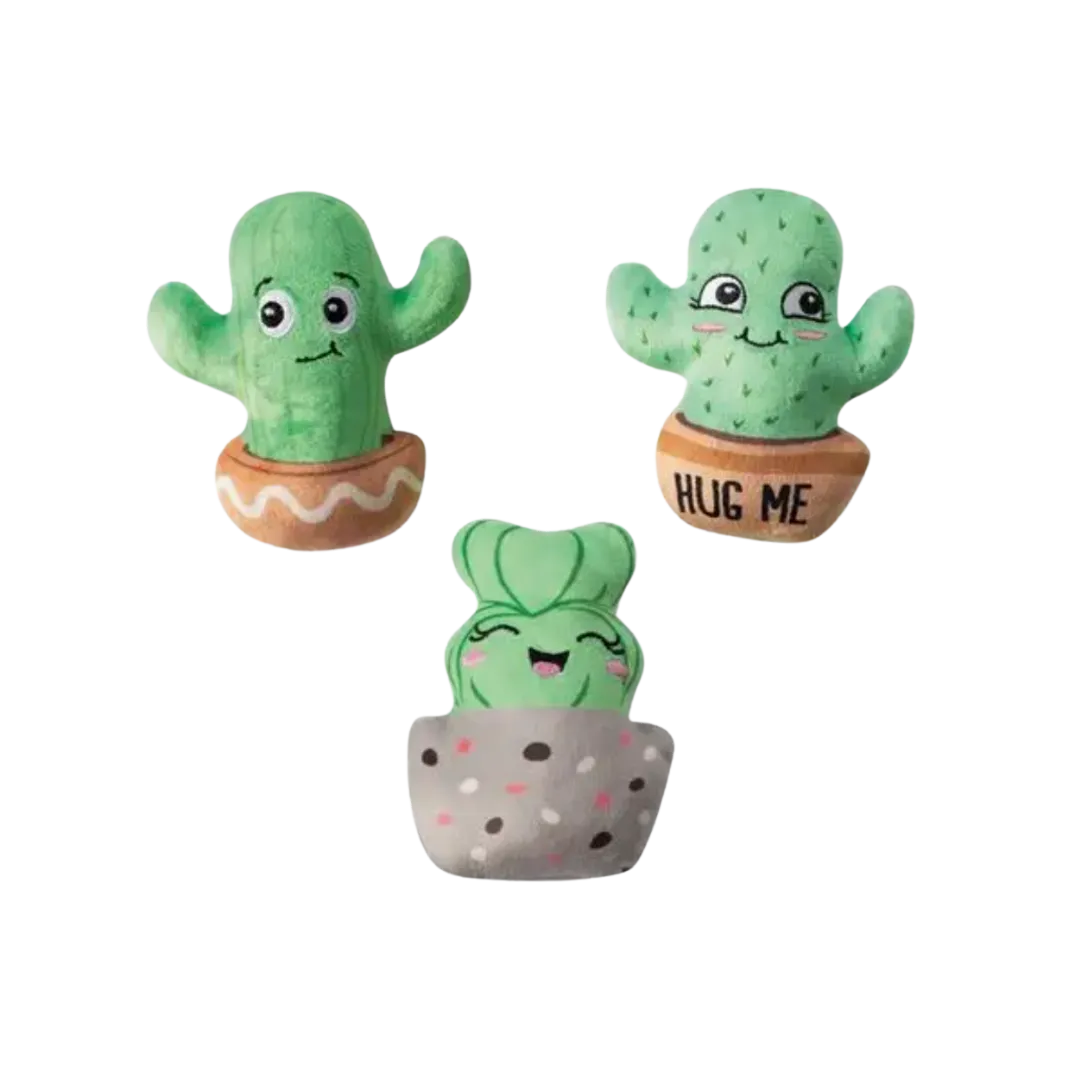 On Point Play Set (Cactus friends)