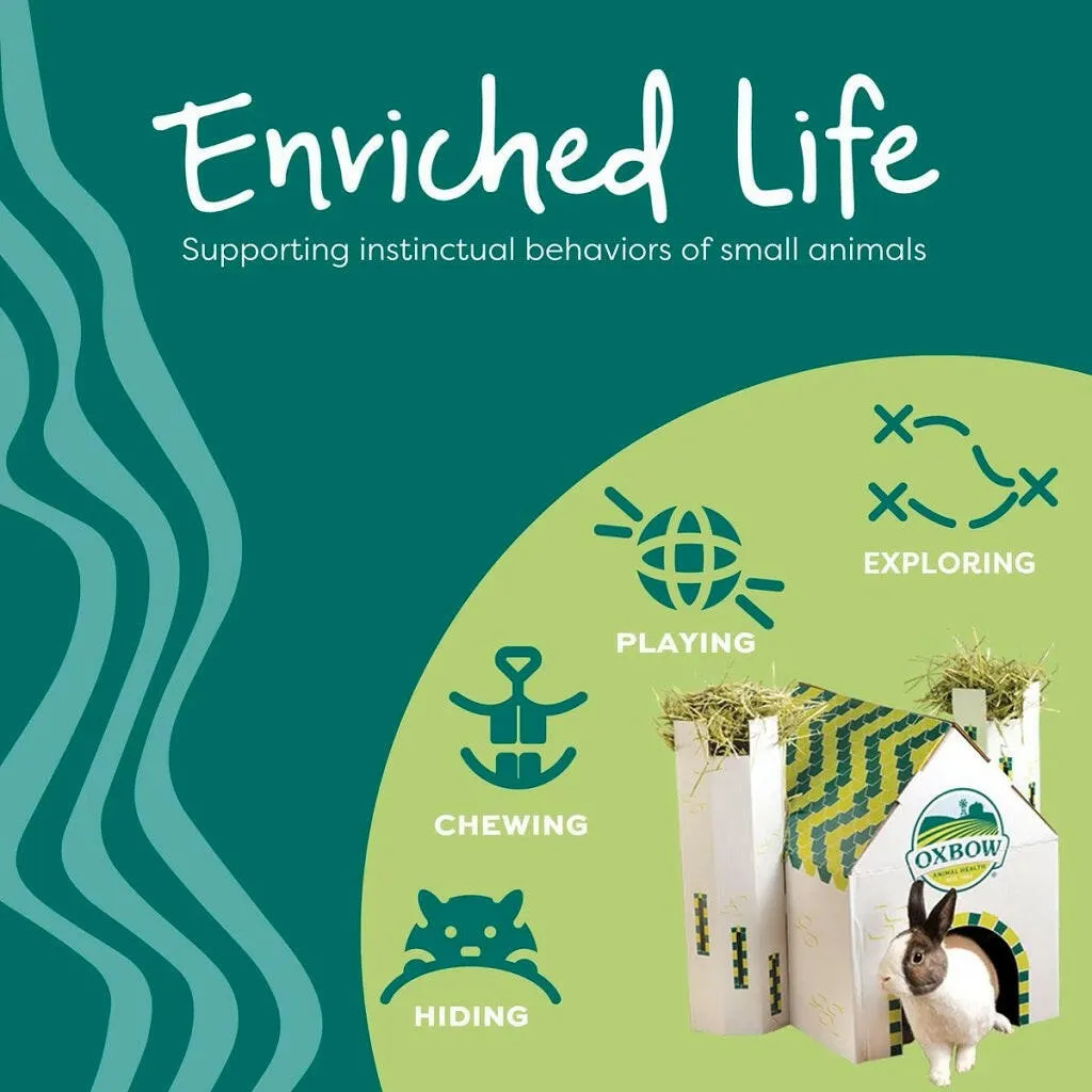 Oxbow Animal Health Enriched Life Hanging Mulberry Chew Small Animal Chew Toy