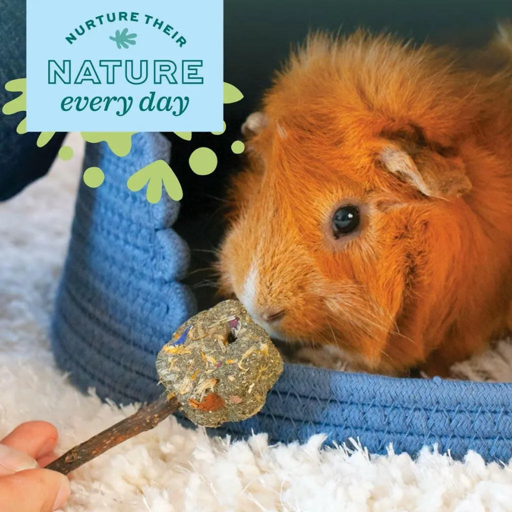 Oxbow Animal Health Enriched Life Hanging Mulberry Chew Small Animal Chew Toy