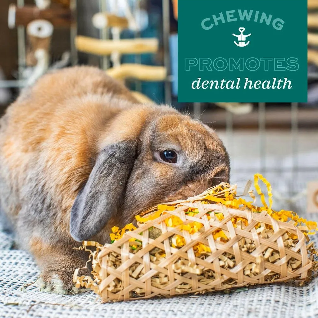 Oxbow Animal Health Enriched Life Hanging Mulberry Chew Small Animal Chew Toy