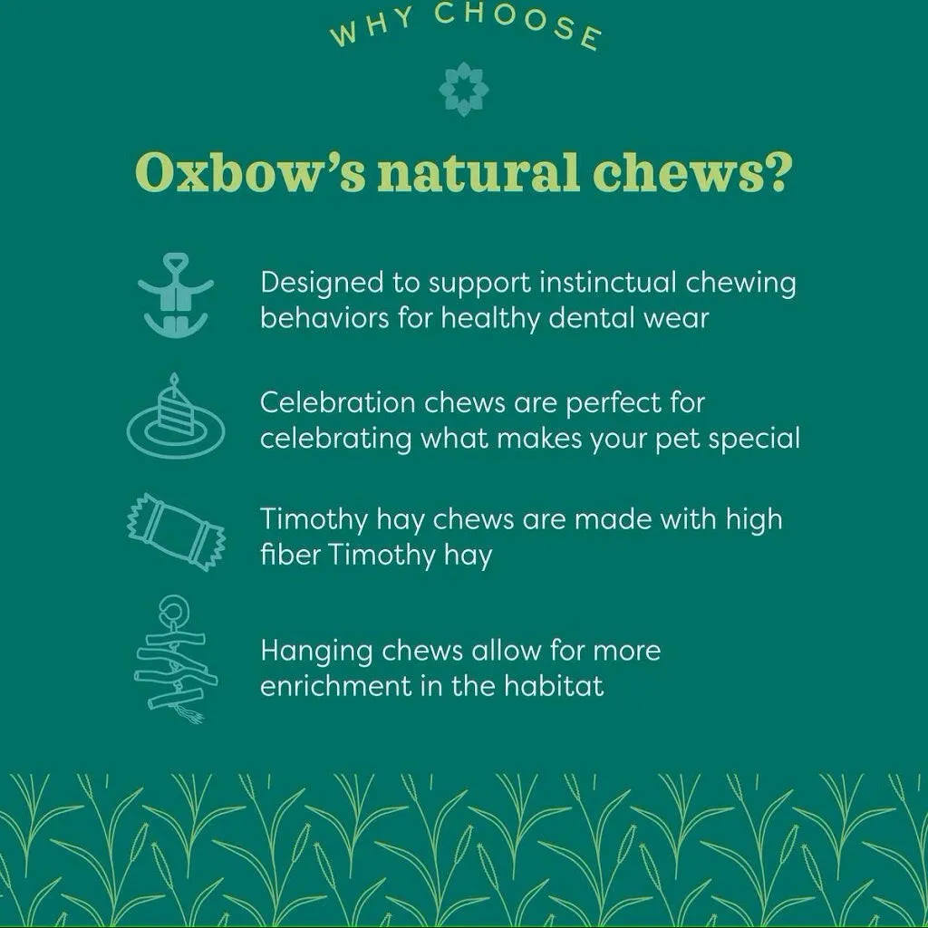 Oxbow Animal Health Enriched Life Hanging Mulberry Chew Small Animal Chew Toy