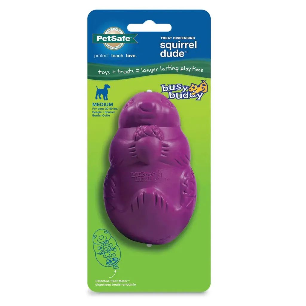Petsafe Busy Buddy Squirrel Dude Treat Dispenser Dog Chew Toy