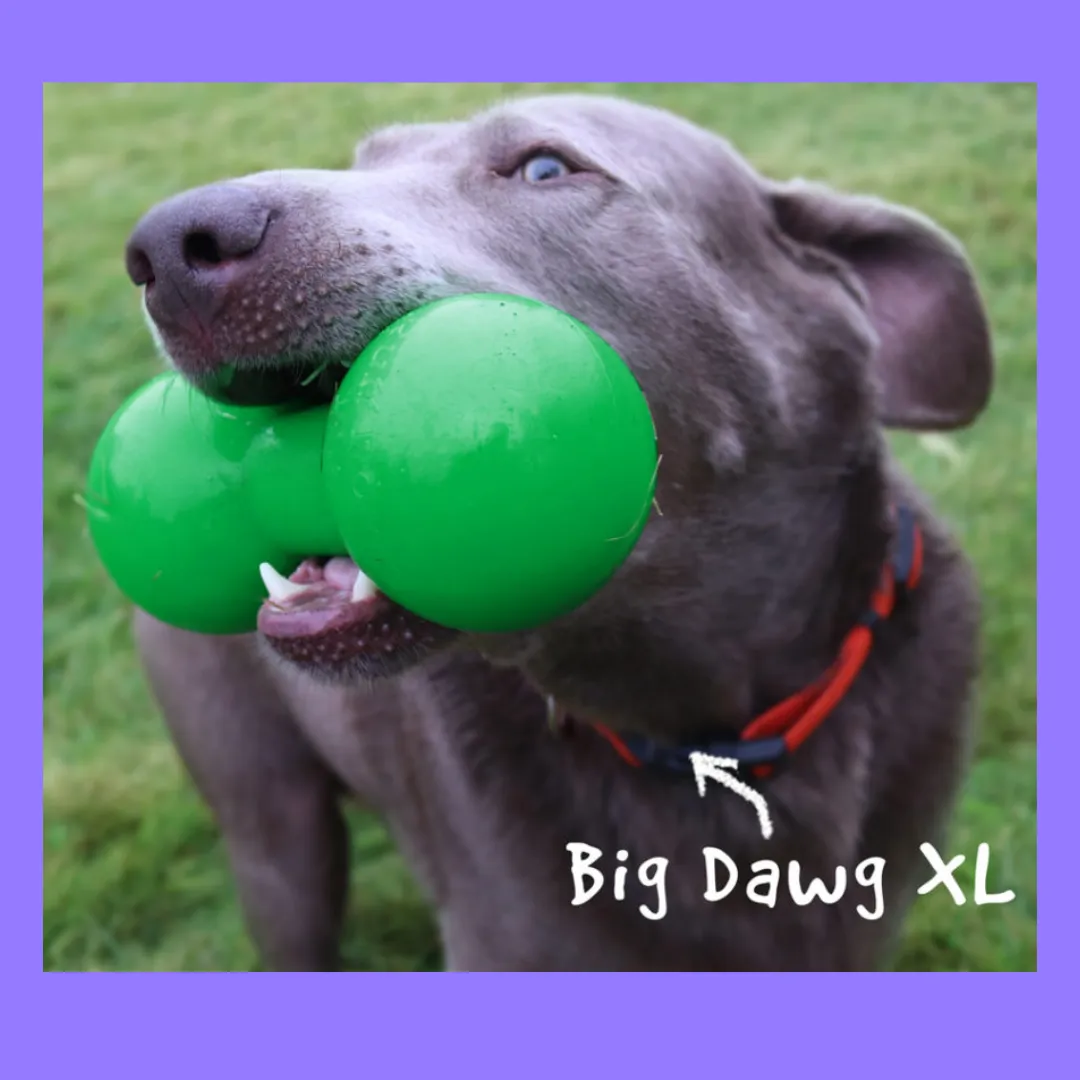 Ruff Dawg Big Dawg XL