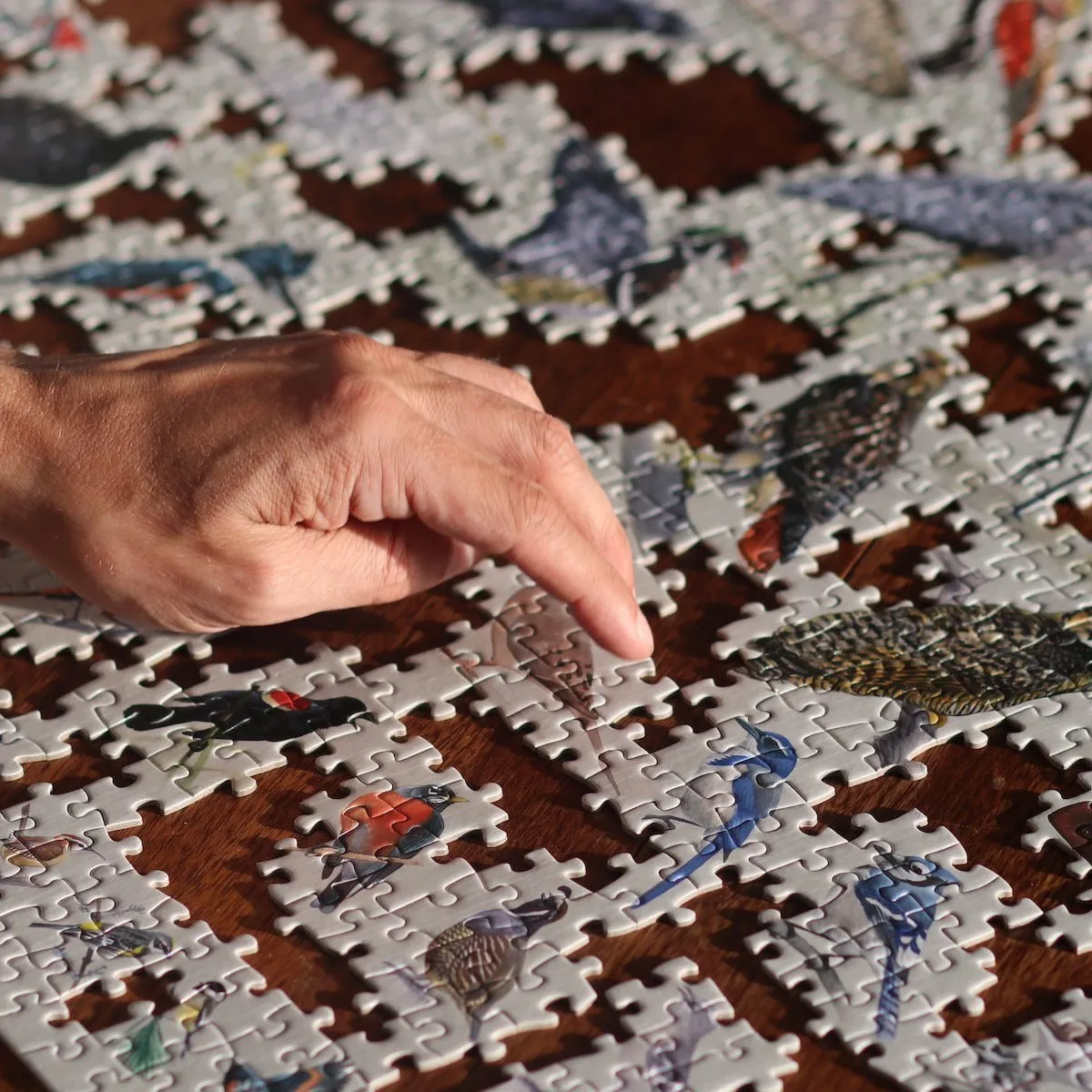 Sibley Backyard Birding Puzzle