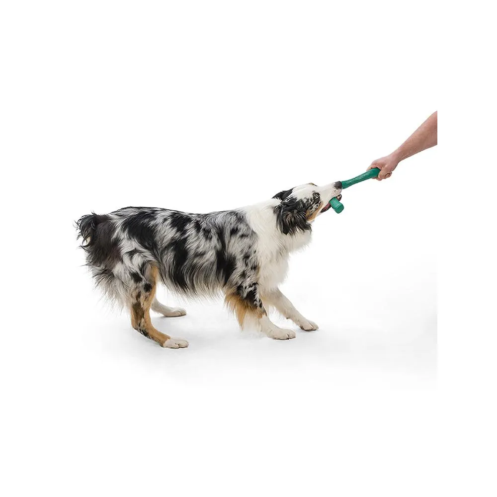 Snorkl Seaflex Dog Fetch Toy
