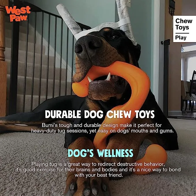 WEST PAW Zogoflex BUMI Dog Chew Toy