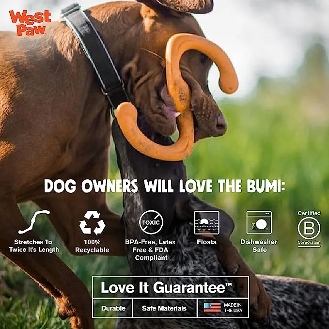 WEST PAW Zogoflex BUMI Dog Chew Toy